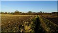 Field path between Chester Rd, Acton & Raven