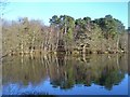 Puttenham Common - The Tarn