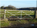 View over a gate in Reece Lane