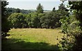 Meadow, Holtroad Downs