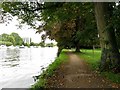 The Thames Path to Marlow