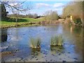 Shackleford - Lydling Farm Pond