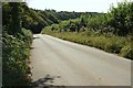 Road past Longdowns Plantation