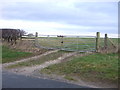 Field entrance near Mill Farm