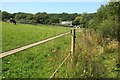 Path to Little Margate