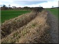 Public footpath, Houghton Green