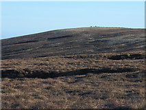 NY8140 : Moorland west of Highwatch Currick by Mike Quinn