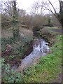 The Northbrook and footpath, Ludwell Valley Park, Exeter