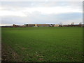 View towards Manor Farm