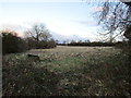 Rough grazing below Horn Hill