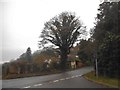 Kent Hatch Road at the end of Goodley Stock Road