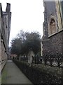 Looking southwards down Oak Lane