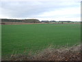 Farmland off Beverley Road (A164)