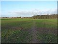 Footpath across field at Birchley Heath