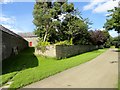 Walled  garden at Black Hedley