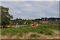 Hartlebury Common