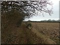 Footpath beside a field of stubble