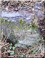 Boundary Stone