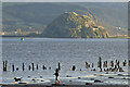 NS3674 : Dumbarton Rock from Parklea by Thomas Nugent
