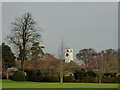 The clock tower, Norton Court