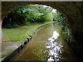 Llangollen canal near Wrenbury Heath, Cheshire