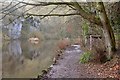 SK1672 : Riverside Path in Water-cum-Jolly Dale, Derbyshire by Andrew Tryon