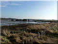 TM0520 : River Colne at Fingringhoe Wick Nature Reserve by PAUL FARMER