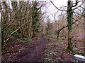 Muddy track above the Ebbw River, Risca