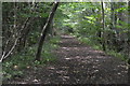 Tandridge Border Path