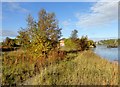 Looking along the riverbank at Timber Beach