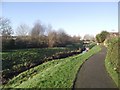 Footpath by Whetstone Brook