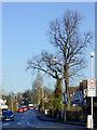 Old Fallings Lane at Newbolds, Wolverhampton