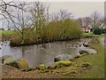 TA1950 : Duck pond, Atwick by Paul Harrop