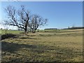 Farmland at Broughton Hackett