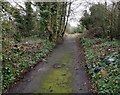 Path on the former St Mary