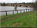 NY9864 : The Bridge at Corbridge with the River Tyne in flood by Clive Nicholson