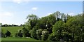 Trees along the bank of a small stream off the A3 (Monaghan Road)