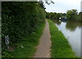 Towpath along the Grand Union Canal near Dudswell