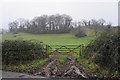 Field entrance below Wattles Wood