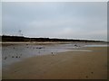 TA1761 : Low  tide  at  Fraisthorpe  Beach by Martin Dawes