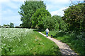 An afternoon walk with the dog by the Sowe, Walsgrave, east Coventry