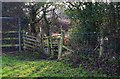 Stile on North Worcestershire Path, near Forhill, Worcs