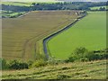 Wiltshire Downland