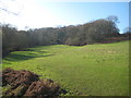 Across the fields in winter