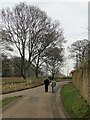 Walkers on Oxcroft Lane