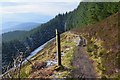 NT2844 : Towers Trail below Shieldgreen Kipps, Glentress Forest by Jim Barton