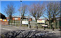 Tree-lined southern perimeter of Stebonheath Primary School, Llanelli