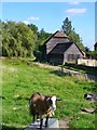 Upper Diddlesfold Farm