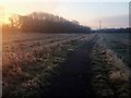 Frosty path this morning