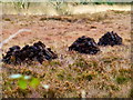 Clamps of turf, Loughmacrory